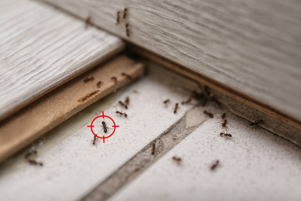Best Wildlife Control Services  in North Royalton, OH