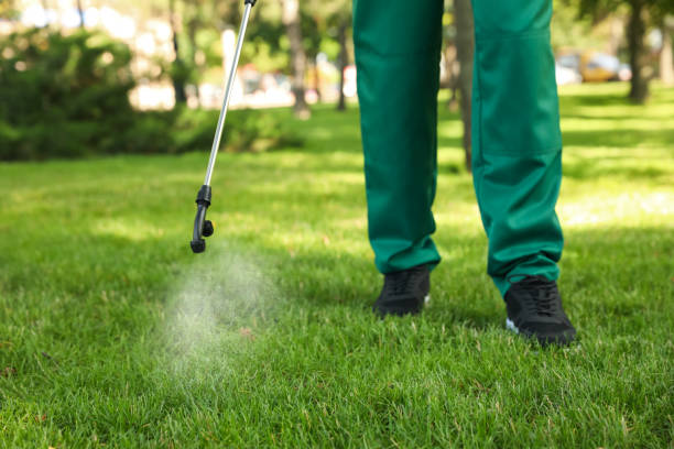 Best Pest Control Near Me in North Royalton, OH