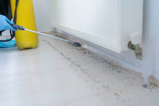 Best Emergency Pest Control  in North Royalton, OH