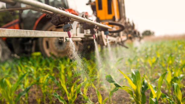 Best Ant Control Services  in North Royalton, OH